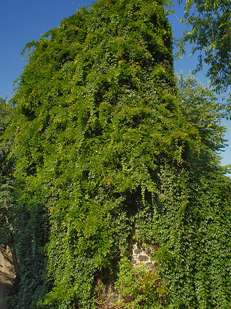 Helenenturm Fotos