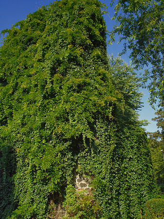 Helenenturm Foto 