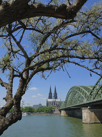 Foto Hohenzollernbrücke am Kölner Dom - Köln