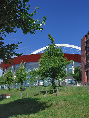 Kölnarena auf einer Wiese