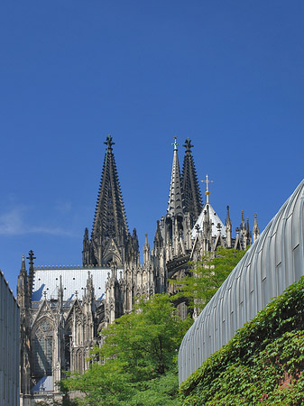 Hauptbahnhof vor dem Kölner Dom Foto 