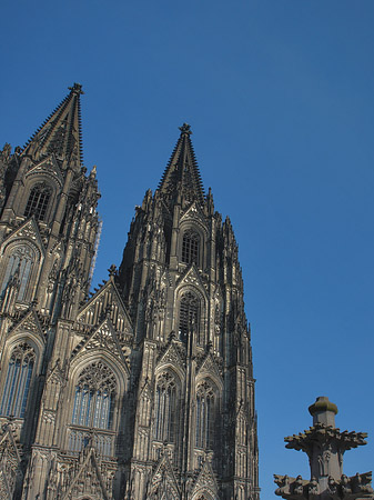 Kreuzblume vor Kölner Dom Fotos