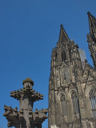 Foto Kreuzblume vor Kölner Dom - Köln