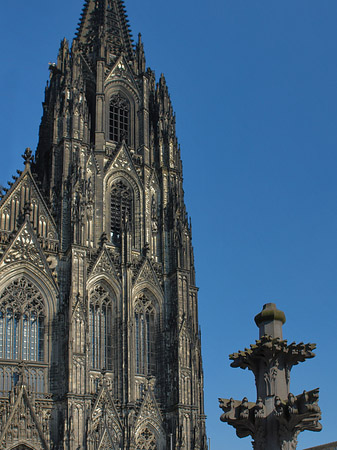 Foto Kreuzblume vor Kölner Dom - Köln