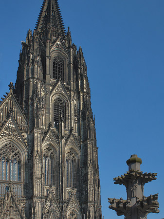 Fotos Kreuzblume vor Kölner Dom