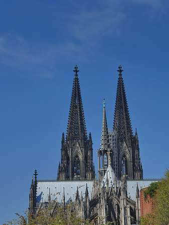 Fotos Steinmauer zum Kölner Dom