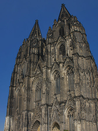 Fotos Touristen tummeln sich vor Kölner Dom | Köln