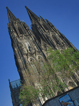 Fotos Nordtor des Kölner Doms | Köln