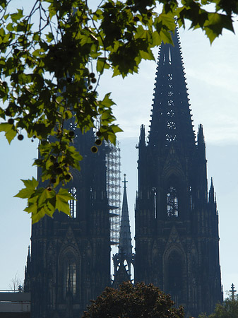 Foto Kölner Dom - Köln