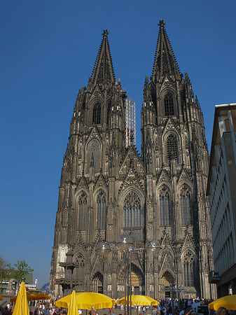 gelbe Sonnenschirme vor Kölner Dom Foto 