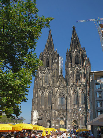 Fotos gelbe Sonnenschirme vor Kölner Dom