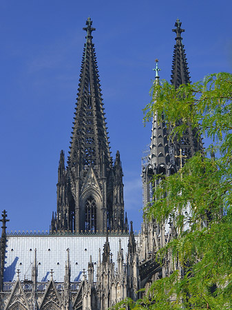 Foto Türme des Kölner Doms