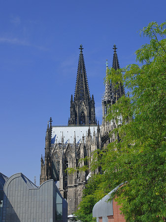 Türme des Kölner Doms Foto 