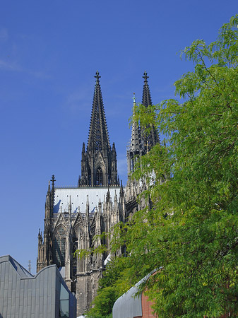 Türme des Kölner Doms