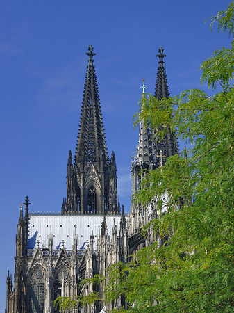 Türme des Kölner Doms Fotos