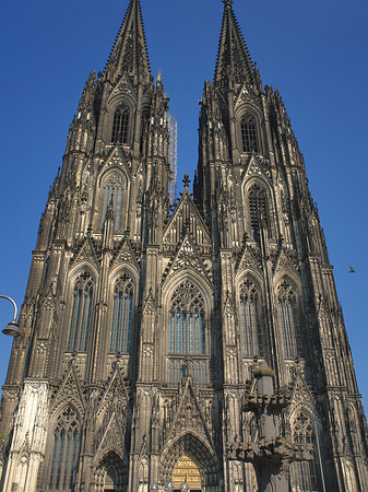 Menschen beim Kölner Dom Fotos