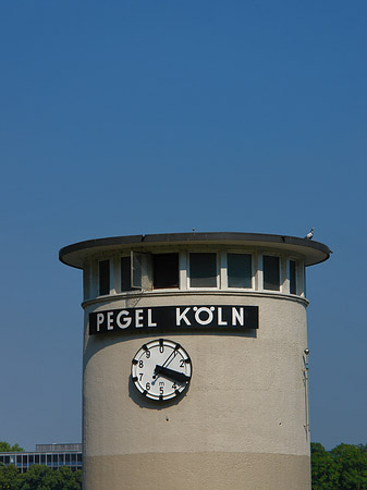 Foto Pegel Köln - Köln