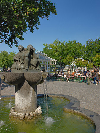 Foto Pütz im Rheingarten - Köln