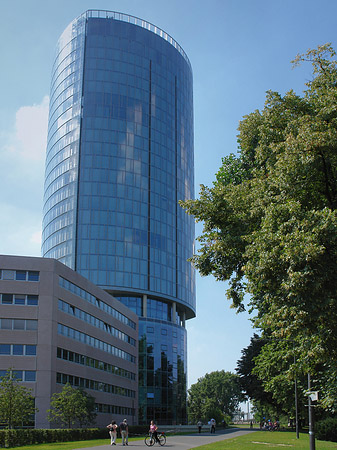 Foto Triangelturm hinter Baum