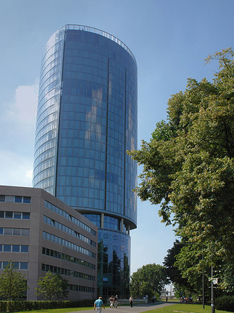 Fotos Triangelturm hinter Baum