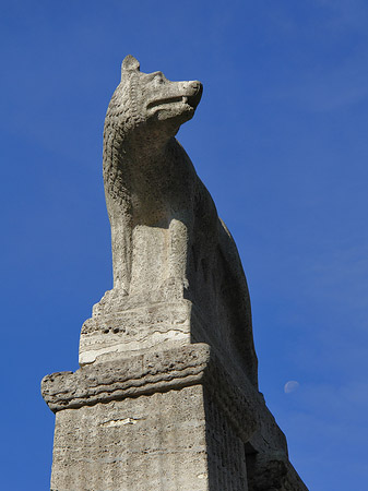 Wolfsstatue am Stadtmuseum Fotos