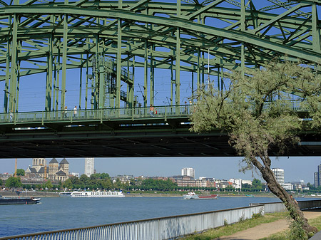 Foto Hohenzollernbrücke mit Baum