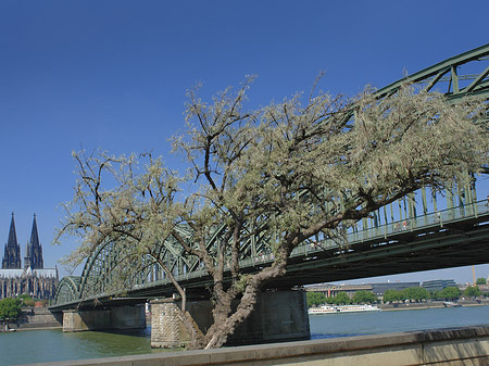 Fotos Hohenzollernbrücke am Kölner Dom