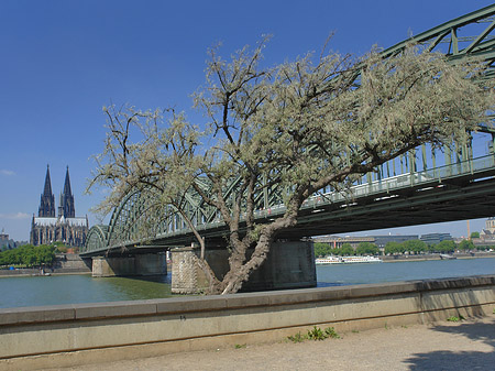 Foto Hohenzollernbrücke am Kölner Dom - Köln