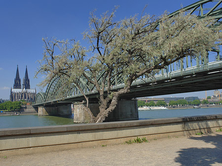 Hohenzollernbrücke am Kölner Dom Fotos