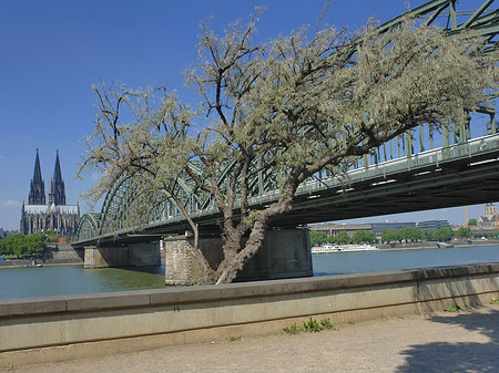 Foto Hohenzollernbrücke am Kölner Dom