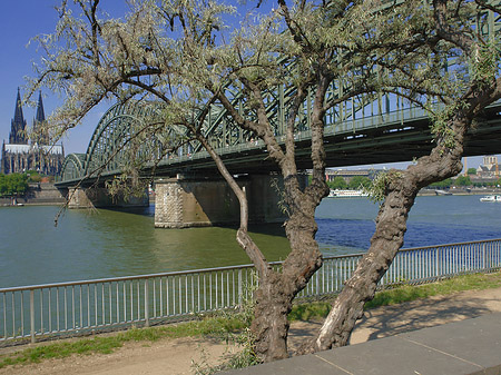 Fotos Hohenzollernbrücke am Kölner Dom