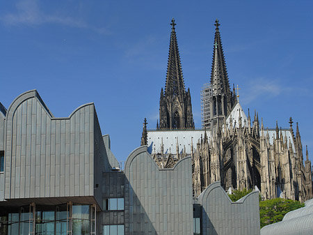 Dächer vor dem Kölner Dom