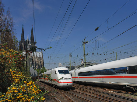 Foto Kölner Dom mit ICE