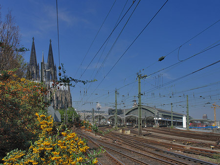 Foto Hauptbahnhof neben dem Kölner Dom