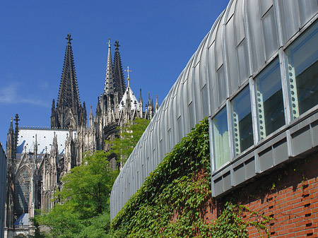 Fotos Hauptbahnhof vor dem Kölner Dom | Köln