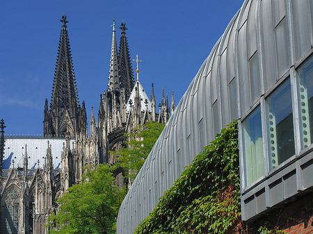 Fotos Hauptbahnhof vor dem Kölner Dom | Köln