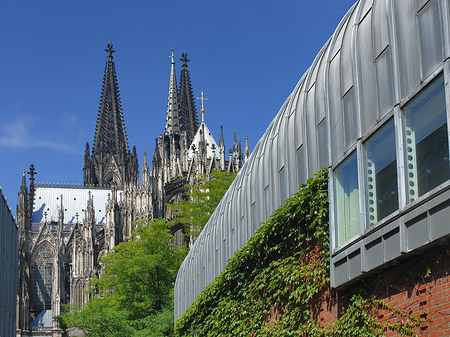 Fotos Hauptbahnhof vor dem Kölner Dom | Köln