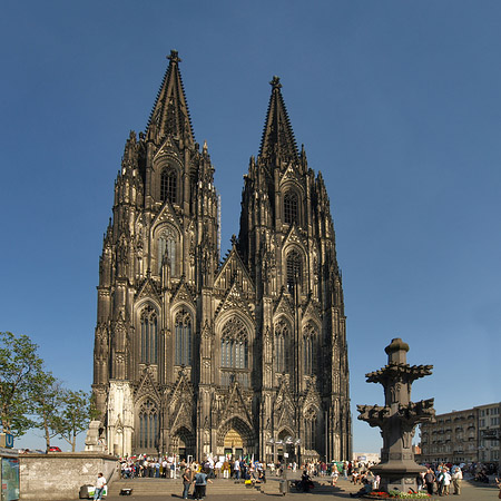 Kreuzblume vor Kölner Dom Fotos