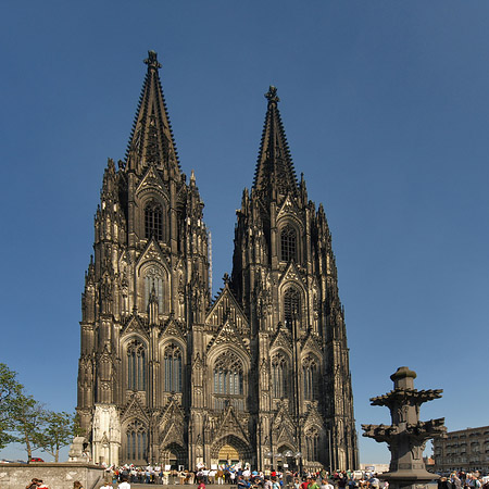 Fotos Kreuzblume vor Kölner Dom | Köln