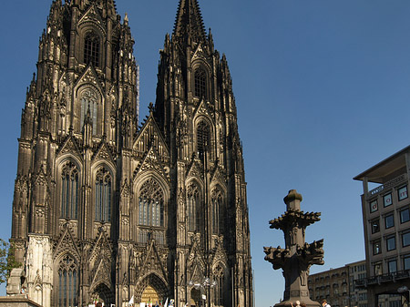 Foto Kreuzblume vor Kölner Dom