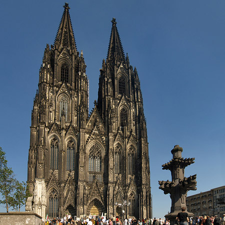 Foto Kreuzblume vor Kölner Dom