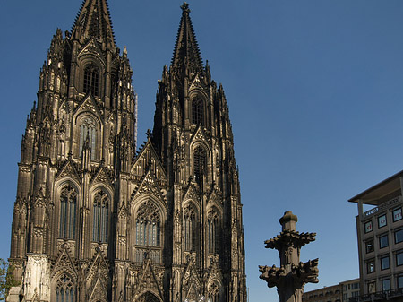 Kreuzblume vor Kölner Dom Fotos