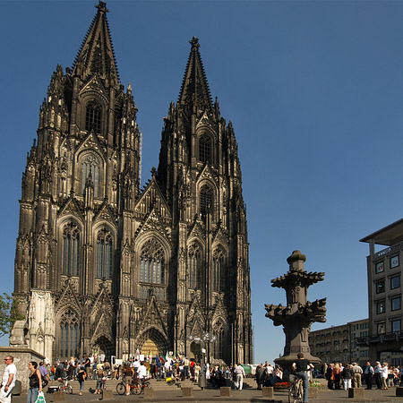 Kreuzblume vor Kölner Dom