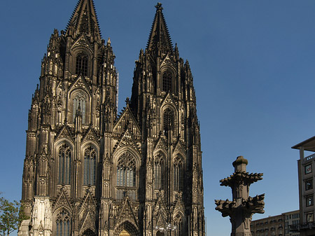 Fotos Kreuzblume vor Kölner Dom