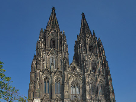 Fotos Kreuzblume vor Kölner Dom | Köln