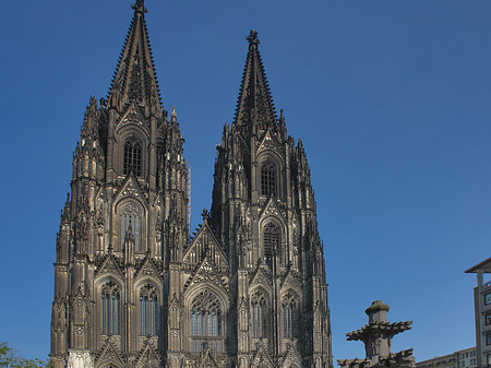 Foto Kreuzblume vor Kölner Dom - Köln