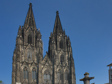 Kreuzblume vor Kölner Dom Fotos