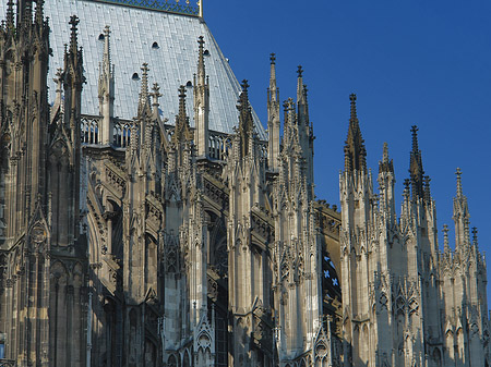 Fotos Südseite des Kölner Doms