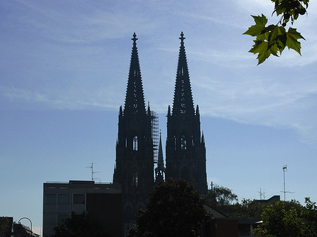 Foto Kölner Dom