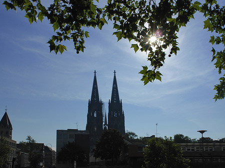 Kölner Dom Fotos